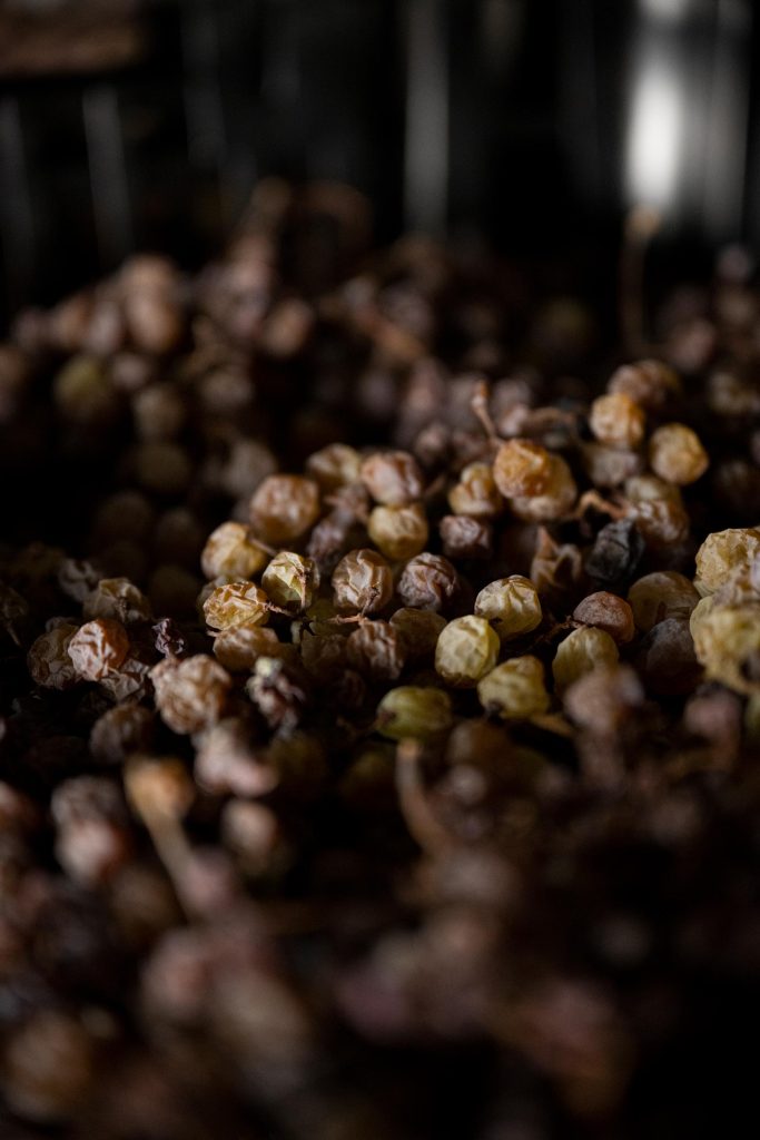 Fotografo per cantine vinicole Veneto Treviso